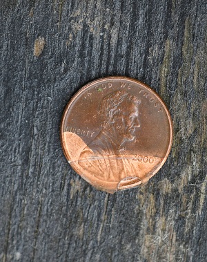 1958-D-Lincoln-Cent.